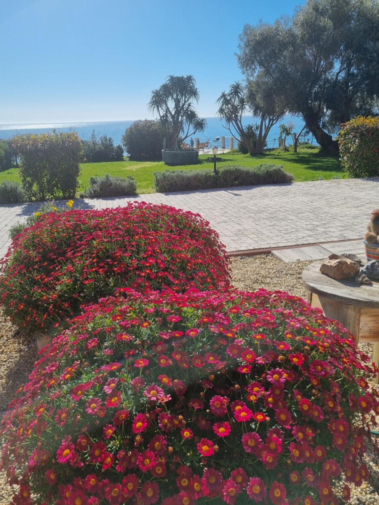 Agriturismo La Tuffatrice Imperia Quarto foto