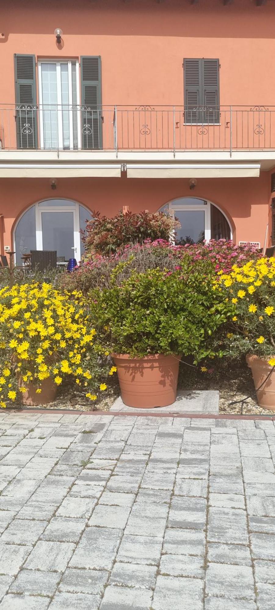 Agriturismo La Tuffatrice Imperia Exterior foto